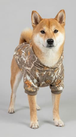 The Rise of Pet Apparel: Why Smart Brands Are Adding Pet Lines